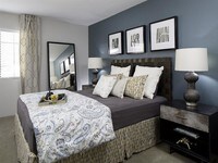 Add an accent wall to your master suite for a custom feel - Lore South Mountain Apartments in Phoenix, Arizona