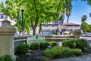 Sharps & Flats in Davis, CA - Building Photo