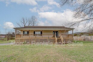 1163 Whitaker Rd in New Market, TN - Building Photo