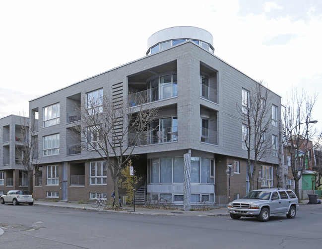 55-61 Roy E in Montréal, QC - Building Photo - Primary Photo