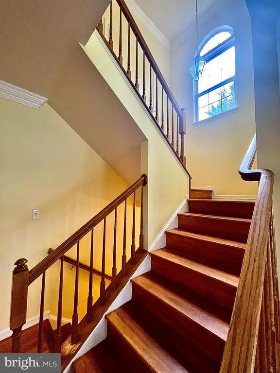 6101 Newport Terrace in Frederick, MD - Building Photo - Building Photo