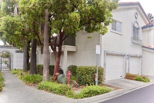 39336 Marbella Terraza in Fremont, CA - Building Photo