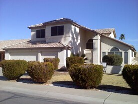 3121 N 113th Ln in Avondale, AZ - Building Photo
