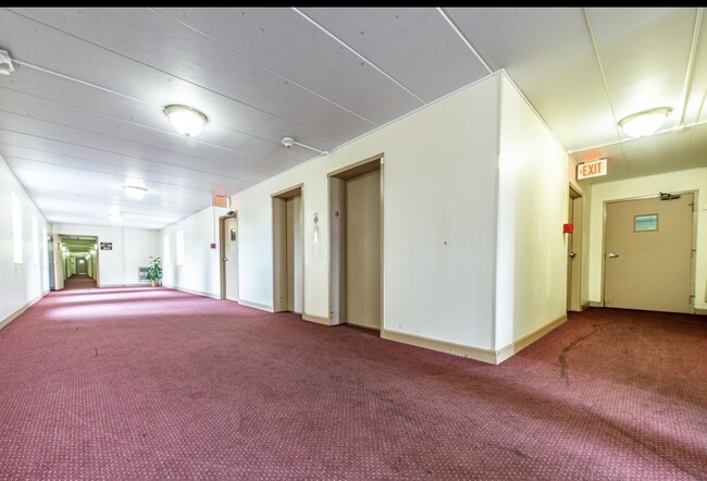 300 S Roselle Rd, Unit 307 in Schaumburg, IL - Building Photo - Building Photo