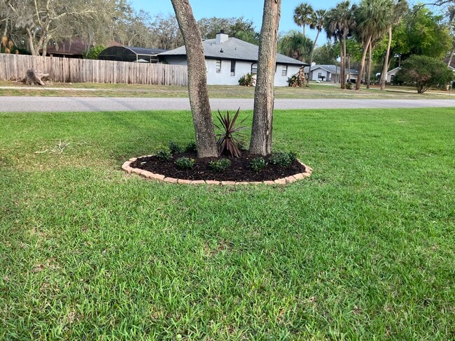 property at 2520 Caper Ln