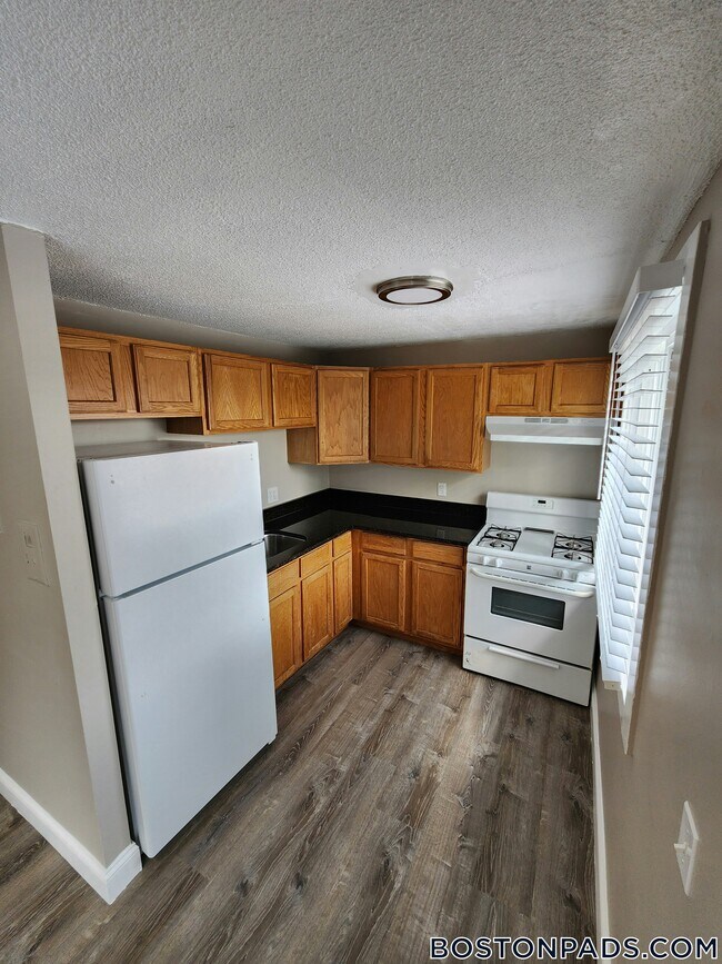 3 Henry Terrace in Worcester, MA - Building Photo - Building Photo