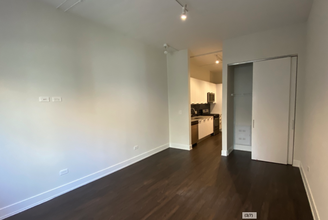 164 W Burton Pl, Unit 1 in Chicago, IL - Building Photo - Building Photo