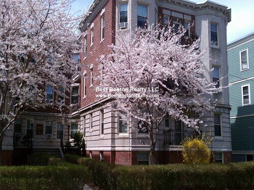 91 Trowbridge St in Cambridge, MA - Building Photo - Building Photo