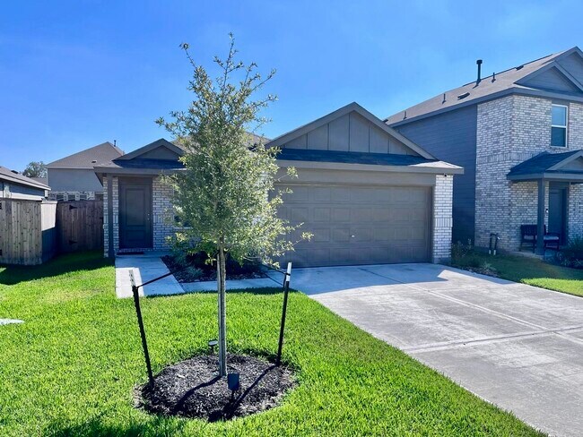 21126 Trivento Dr in New Caney, TX - Foto de edificio - Building Photo
