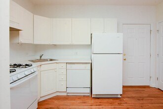 911 W Dakin St in Chicago, IL - Foto de edificio - Building Photo