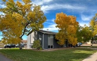 8967 Mccoy Pl in Westminster, CO - Building Photo
