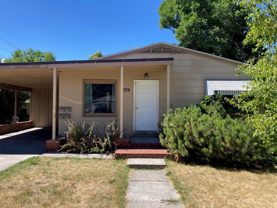 729 S 14th Ave in Bozeman, MT - Building Photo