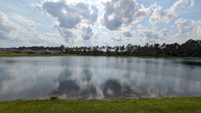 property at 249 Zancara St