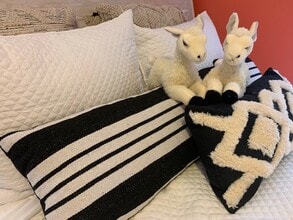 2200 Brookview Ct in Oshkosh, WI - Building Photo - Building Photo