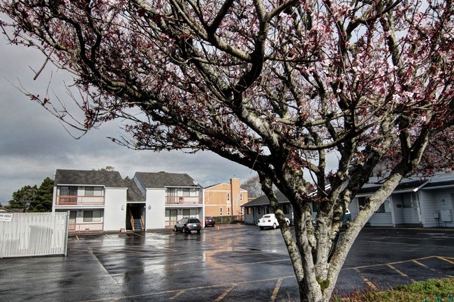 400 Necanicum in Seaside, OR - Foto de edificio - Building Photo