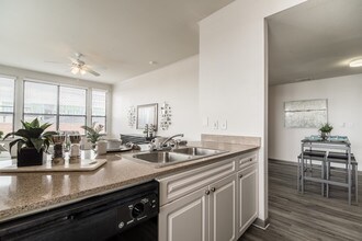 Bel Air Downtown in Plano, TX - Building Photo - Building Photo