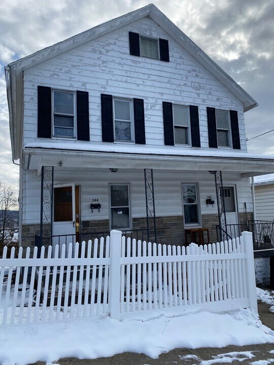 342-344 N Fillmore Ave in Scranton, PA - Building Photo
