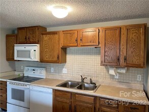 9520 Shannon Green Dr in Charlotte, NC - Building Photo - Building Photo