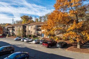 Sandy Creek in Bethel Park, PA - Building Photo