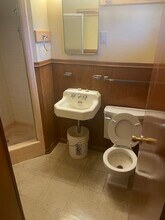 351 Haverford Dr in San Antonio, TX - Building Photo - Building Photo