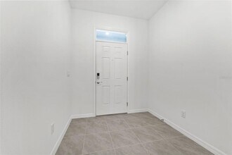31336 Paper Birch St in Wesley Chapel, FL - Building Photo - Building Photo