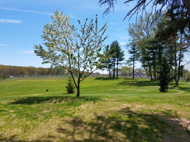 1054 Clintonville Rd, Unit 1054 Clintonville in Wallingford, CT - Building Photo - Building Photo
