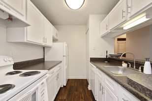 Ashton Creek in Chester, VA - Building Photo