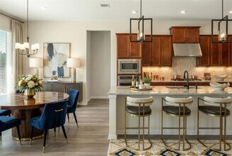 2660 Novara Trl in Leander, TX - Building Photo - Building Photo