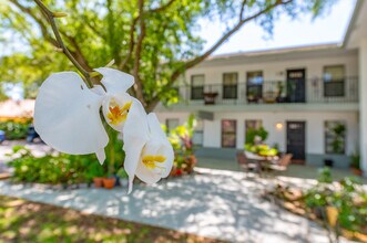 1100 NE 18th St in Fort Lauderdale, FL - Building Photo - Building Photo