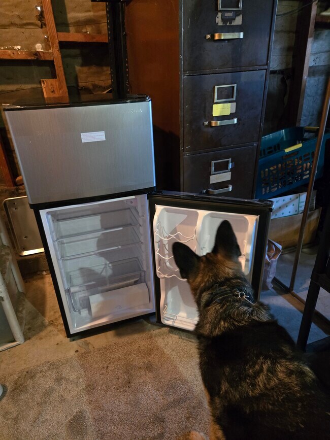 1749 Old Mill Rd in Encinitas, CA - Building Photo - Building Photo