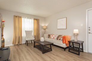 Avalon Apartments in San Antonio, TX - Building Photo