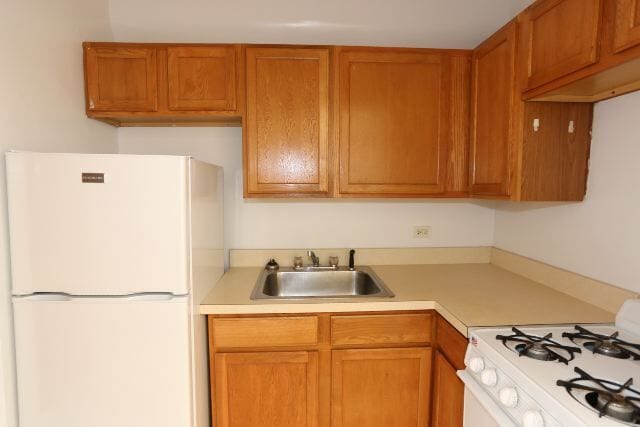 1167 N Dearborn St in Chicago, IL - Building Photo - Building Photo