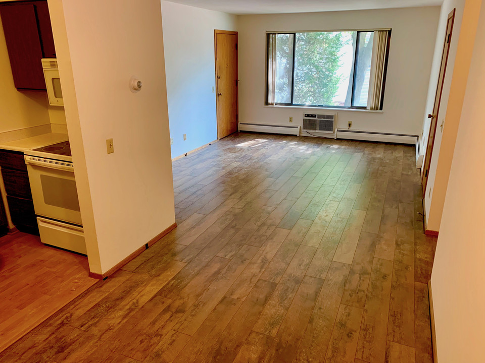 1132 E Johnson St, Unit 7 in Madison, WI - Building Photo