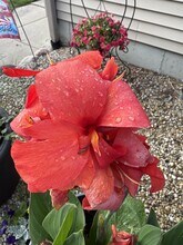 23231 W Lakeshore Dr in Antioch, IL - Building Photo - Building Photo