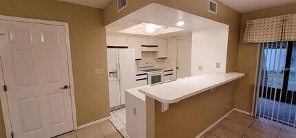 705 Florida Palms Ct in Kissimmee, FL - Building Photo - Building Photo