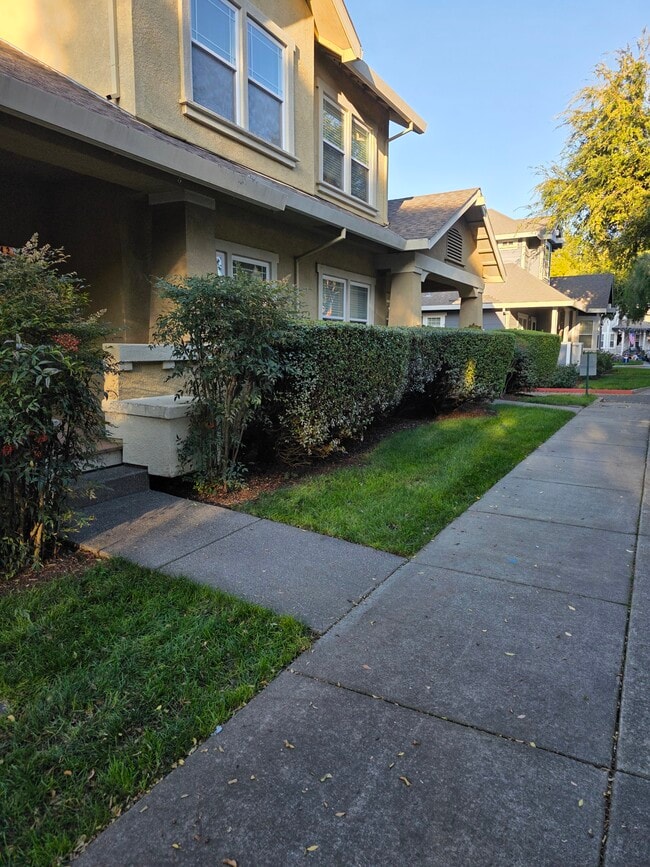 426 Matteri Cir in Cotati, CA - Building Photo - Building Photo