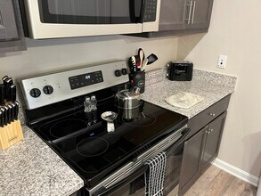 1579 Millspring Dr in Fort Mill, SC - Building Photo - Building Photo