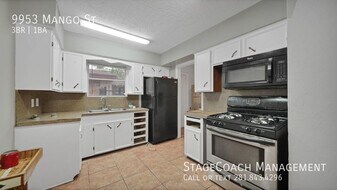 9953 Mango St in Houston, TX - Building Photo