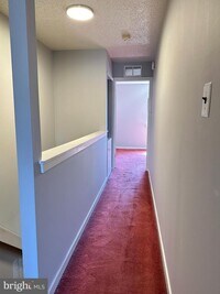 419 Shawmont Ave photo'