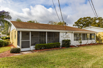 Dorchester at King's Point in Sun City Center, FL - Building Photo - Building Photo