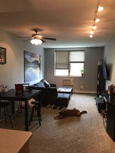 215 7th St NE in Minneapolis, MN - Building Photo - Building Photo
