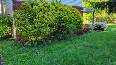 211 Maple Ave in Glen Burnie, MD - Building Photo - Building Photo