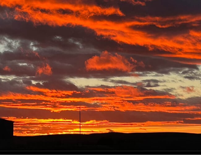 1545 Capri Ct in Pullman, WA - Foto de edificio - Building Photo