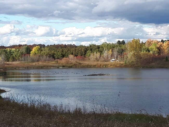 property at 2727 Morgans Rd