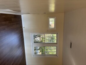 904 Lilly St in Leesburg, FL - Building Photo - Building Photo