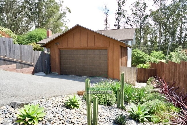 801 Chamberlain Ct in Mill Valley, CA - Building Photo - Building Photo