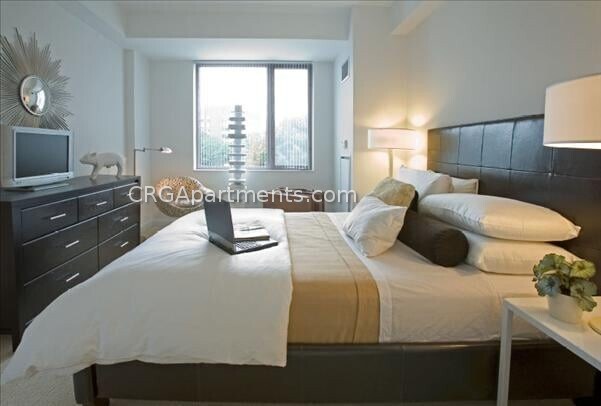 181 3rd St, Unit 3 in Cambridge, MA - Building Photo - Building Photo