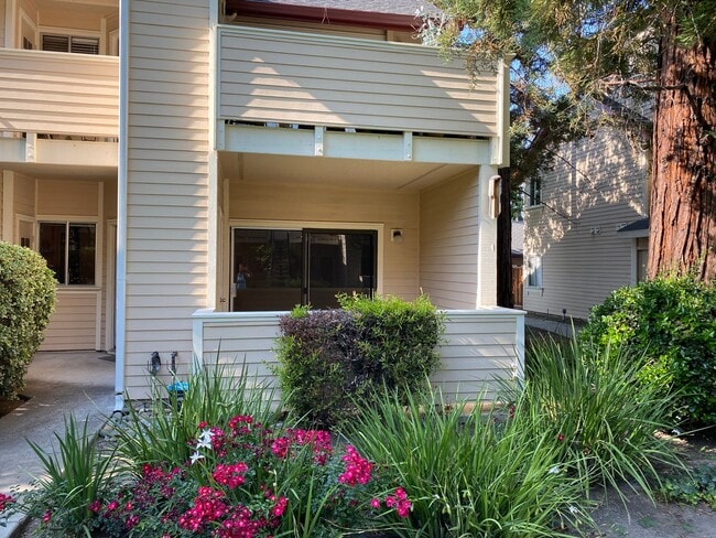 1104 Cedar Gables Dr in San Jose, CA - Building Photo - Building Photo