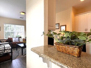 7562 Excitement Dr in Kissimmee, FL - Building Photo - Building Photo