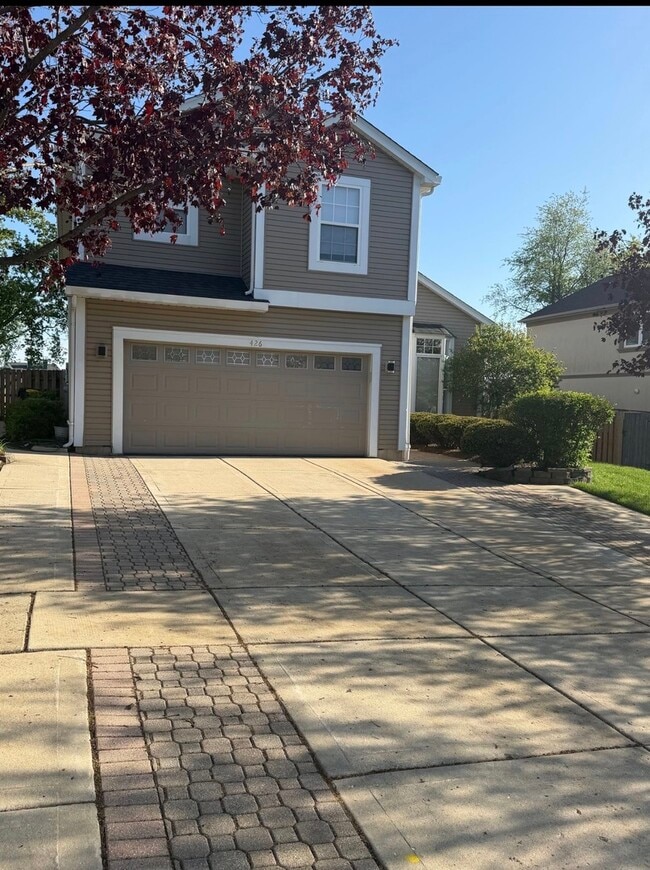 426 Thunder Ridge in Lake In The Hills, IL - Building Photo - Building Photo